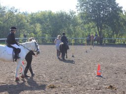 img_0225_web
